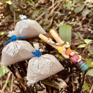 Kit Força da Floresta