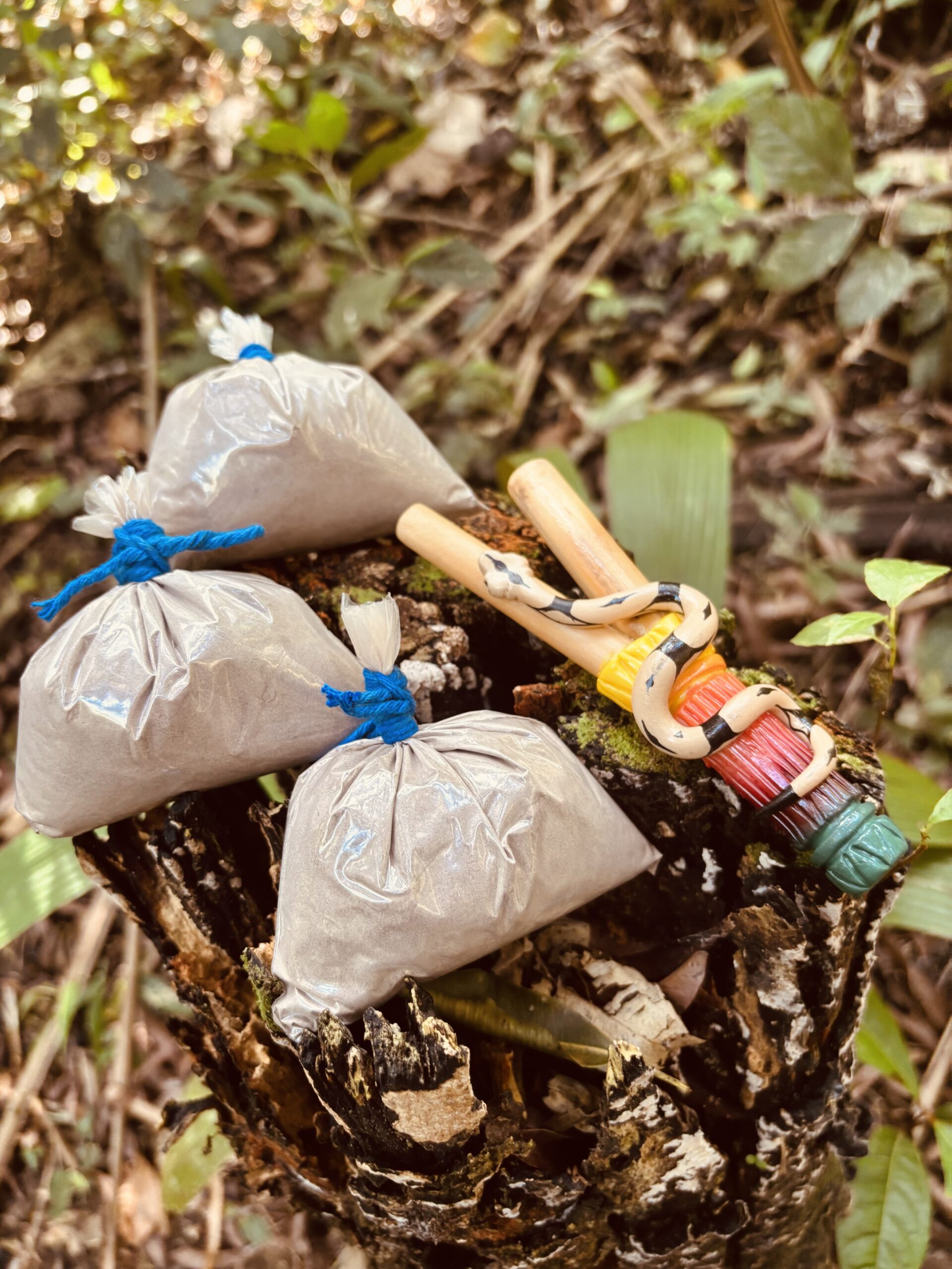 Kit Força da Floresta