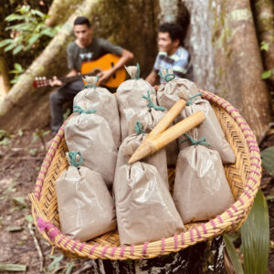 Kit Guardiões da Medicina