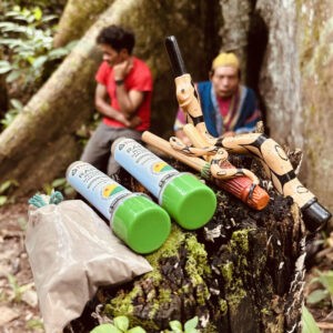 Kit Ritual da Floresta